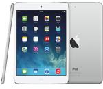 iPad mini
